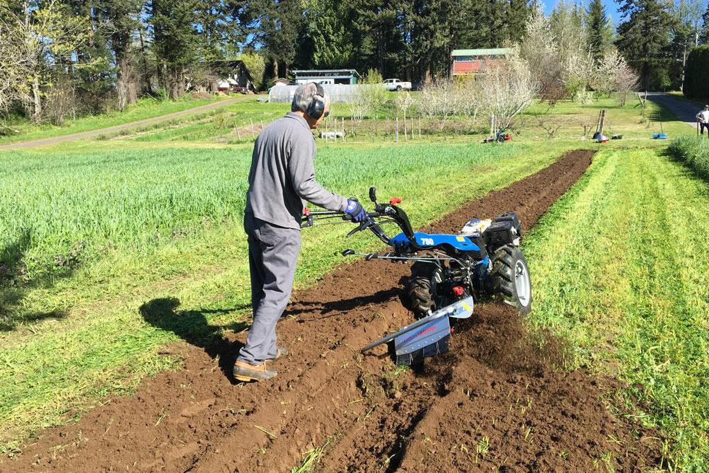 bcs-tractor-tiller-garden-crop