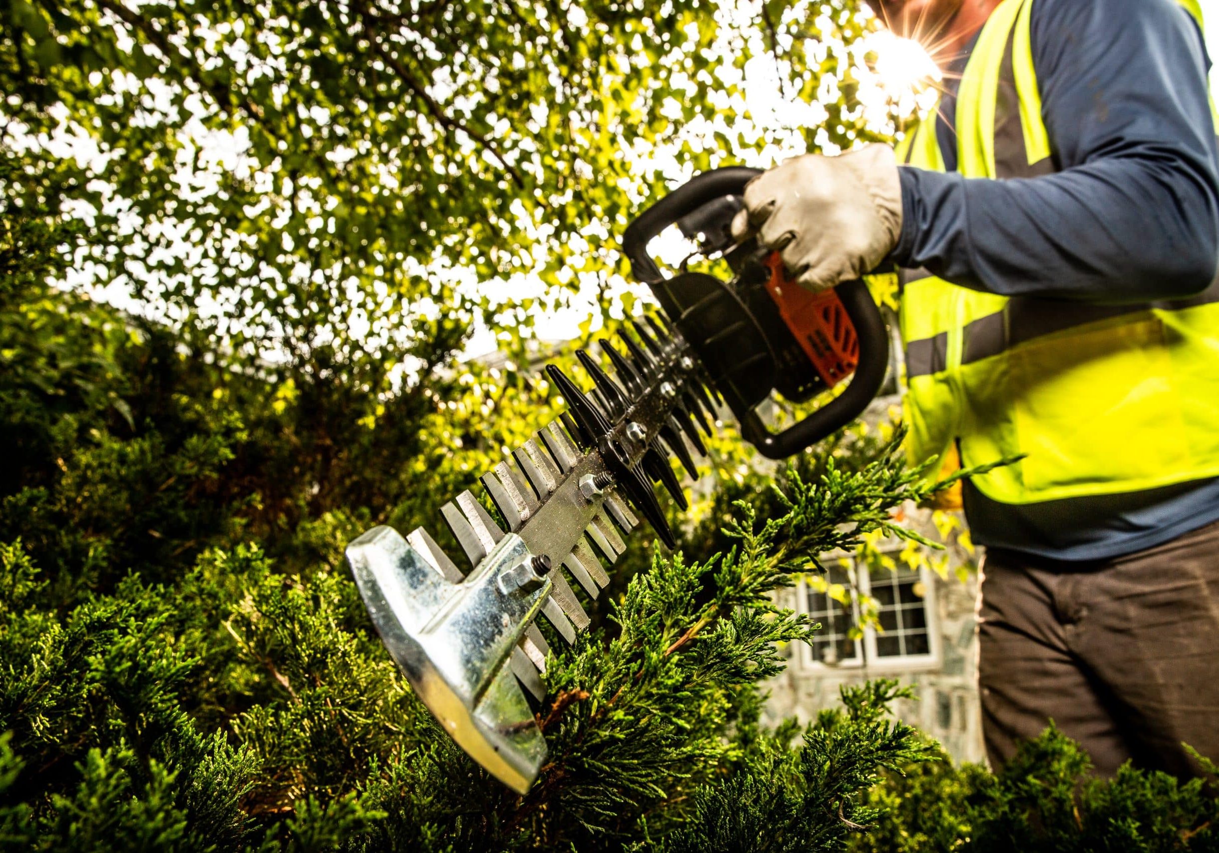 Echo Hedge Trimmer